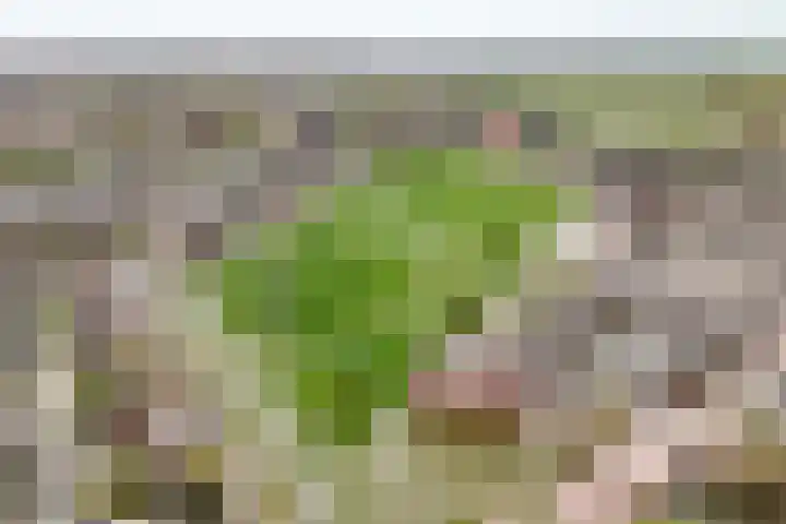 Melis Stokelaan 67 Beverwijk thumbnail 41