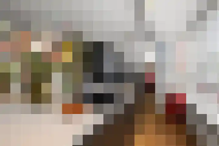 Melis Stokelaan 73 Beverwijk thumbnail 11