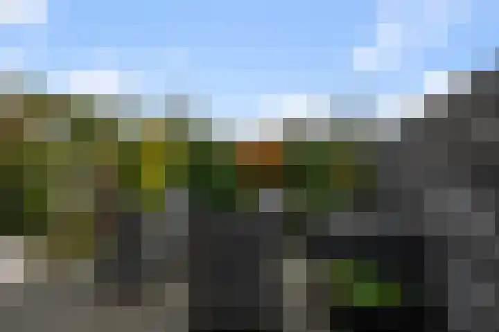 Melis Stokelaan 73 Beverwijk thumbnail 19