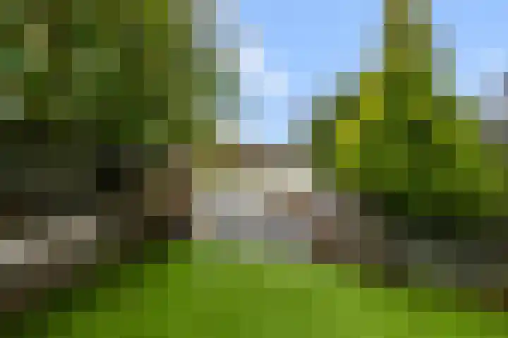 Melis Stokelaan 73 Beverwijk thumbnail 21