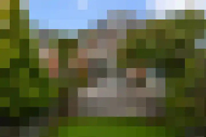 Melis Stokelaan 73 Beverwijk thumbnail 22