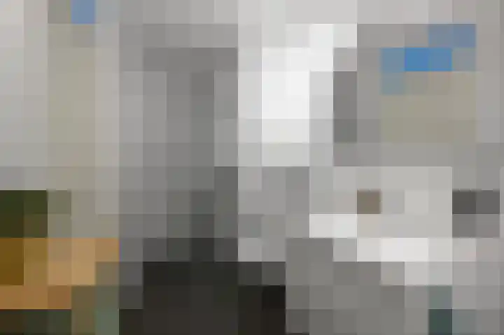 Melis Stokelaan 73 Beverwijk thumbnail 43