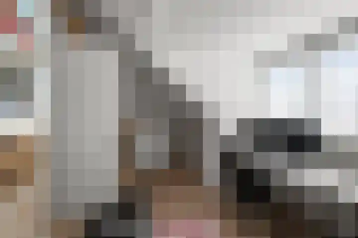 Melis Stokelaan 73 Beverwijk thumbnail 47