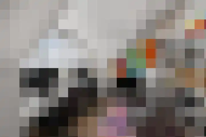 Melis Stokelaan 73 Beverwijk thumbnail 48