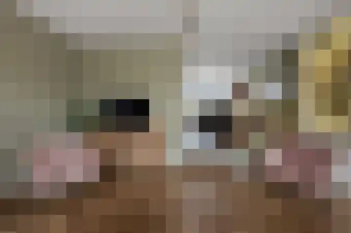 Melis Stokelaan 73 Beverwijk thumbnail 6