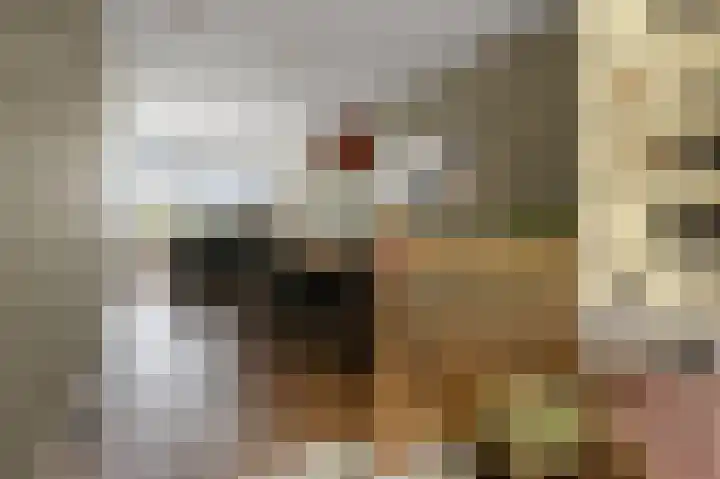 Melis Stokelaan 73 Beverwijk thumbnail 7