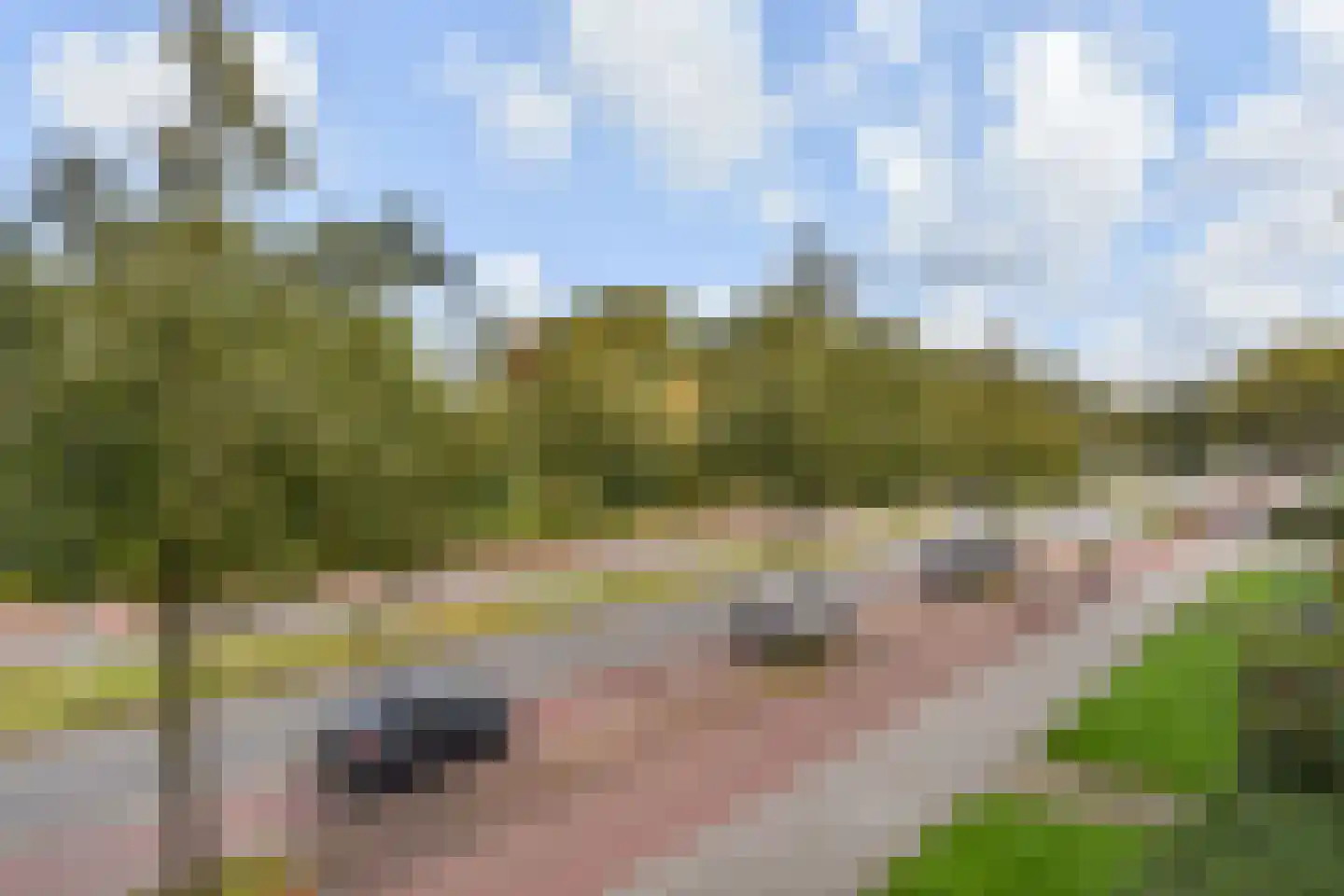 Melis Stokelaan 782 Den Haag thumbnail 23