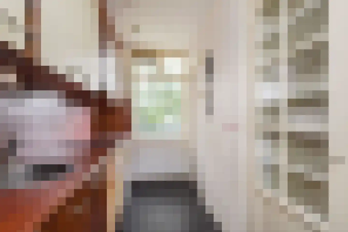 Melis Stokelaan 782 Den Haag thumbnail 6