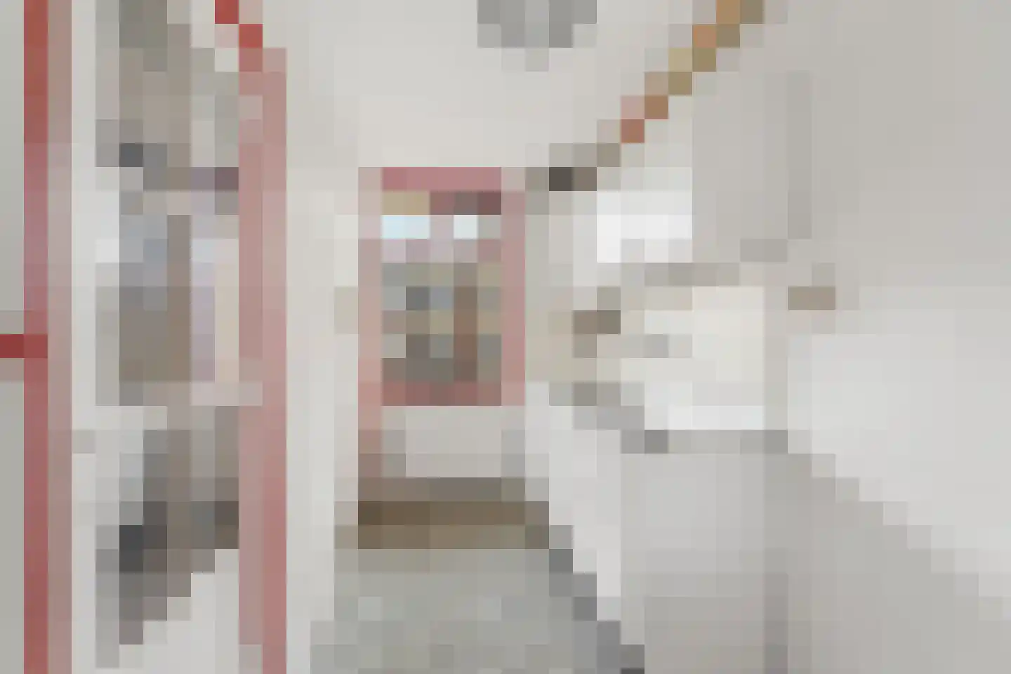 Melis Stokelaan 788 Den Haag thumbnail 10