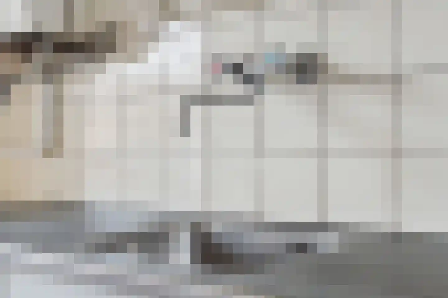 Melis Stokelaan 788 Den Haag thumbnail 12
