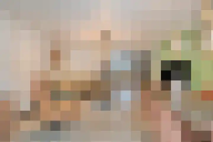 Melis Stokelaan 98 Vlaardingen thumbnail 16