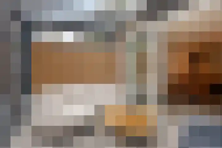 Melis Stokelaan 98 Vlaardingen thumbnail 20