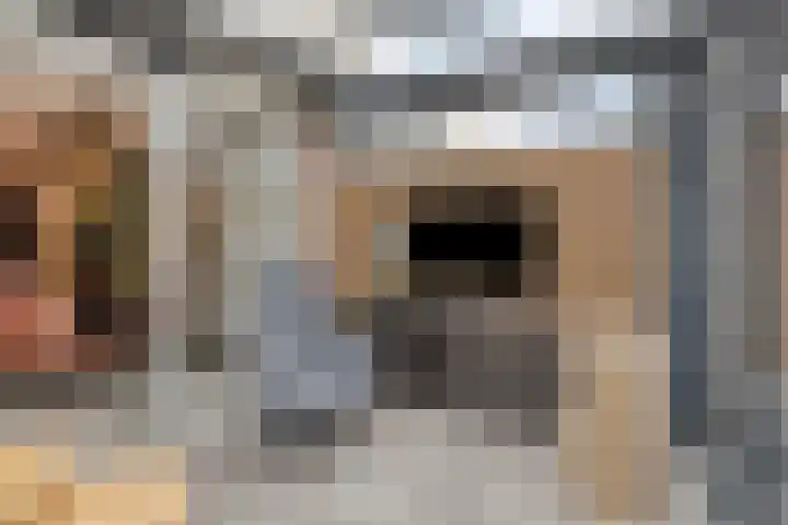 Melis Stokelaan 98 Vlaardingen thumbnail 21