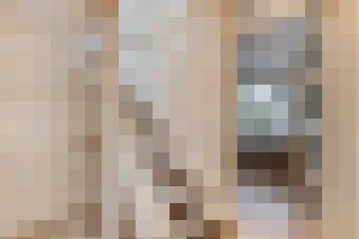 Melis Stokelaan 98 Vlaardingen thumbnail 22