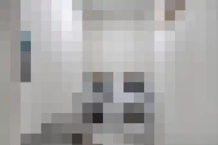 Melis Stokelaan 98 Vlaardingen thumbnail 31