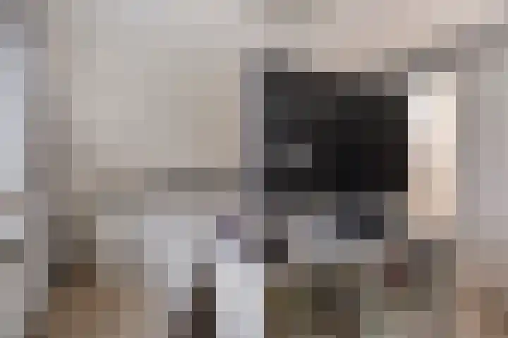 Melis Stokelaan 98 Vlaardingen thumbnail 34