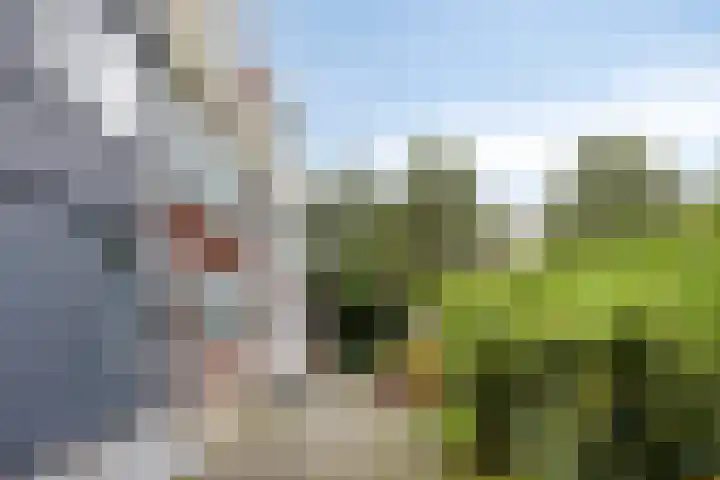 Melis Stokelaan 98 Vlaardingen thumbnail 43