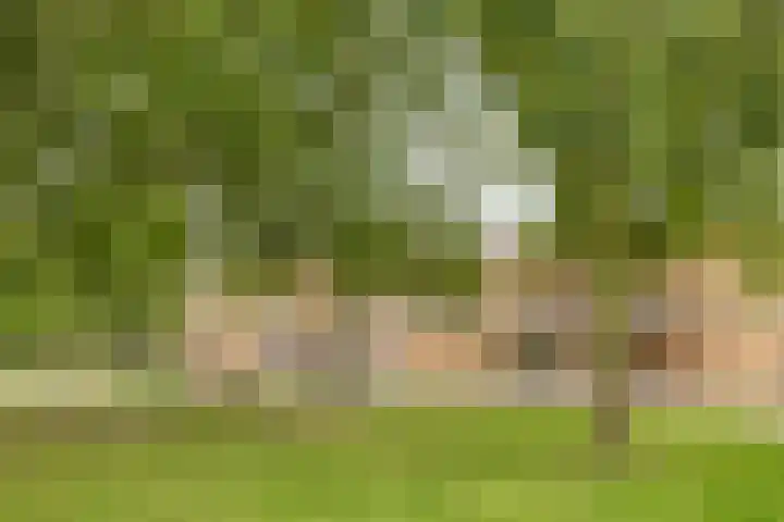 Melis Stokelaan 98 Vlaardingen thumbnail 44