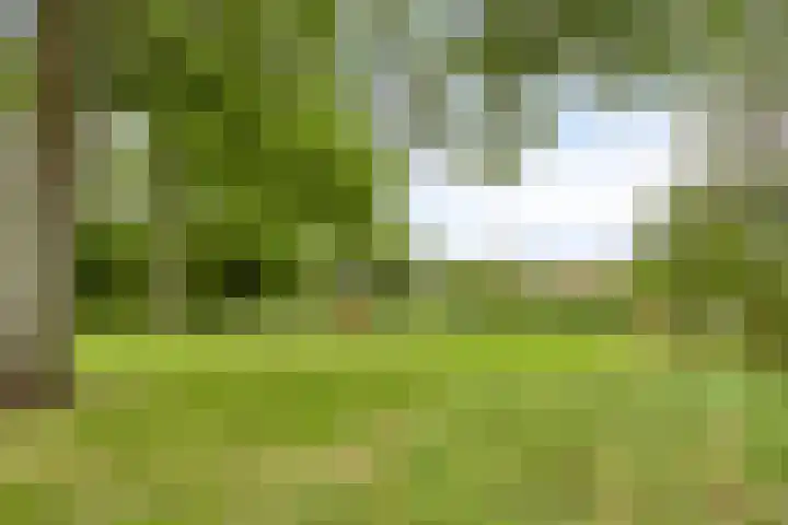 Melis Stokelaan 98 Vlaardingen thumbnail 47