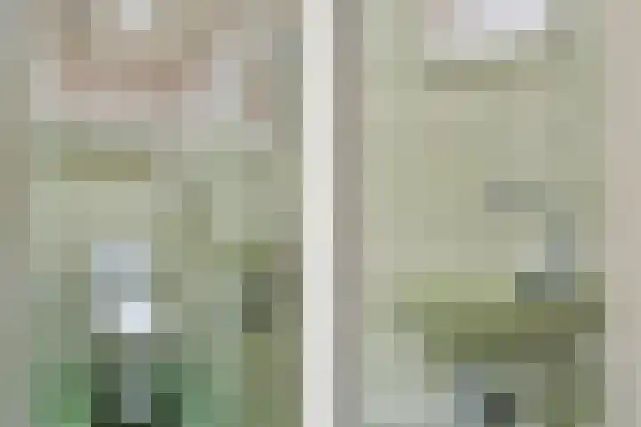 Melis Stokelaan 99 Den Haag thumbnail 12