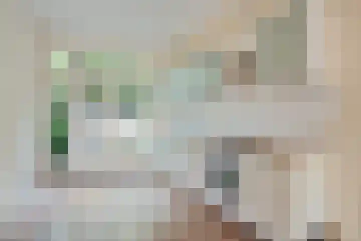 Melis Stokelaan 99 Den Haag thumbnail 21