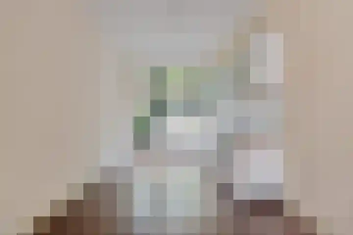 Melis Stokelaan 99 Den Haag thumbnail 22