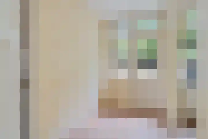 Melis Stokelaan 99 Den Haag thumbnail 23