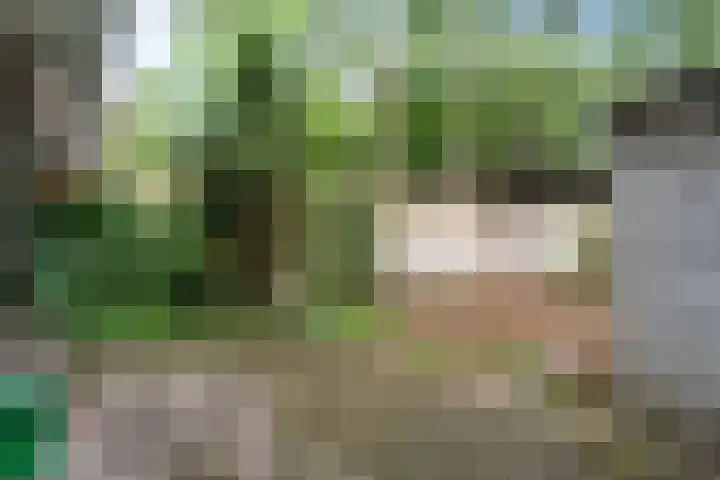 Melis Stokelaan 99 Den Haag thumbnail 32