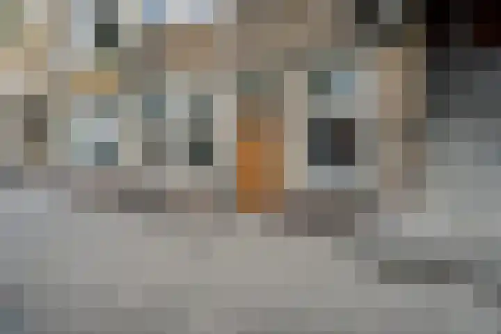 Melis Stokelaan 99 Den Haag thumbnail 39