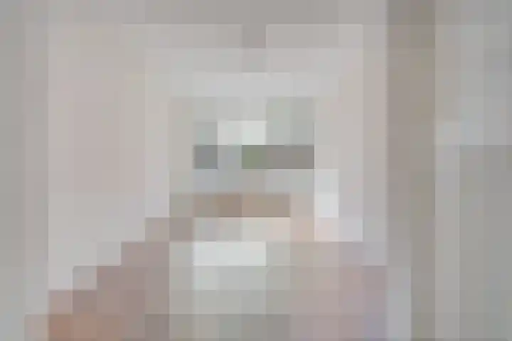 Melis Stokelaan 99 Den Haag thumbnail 4