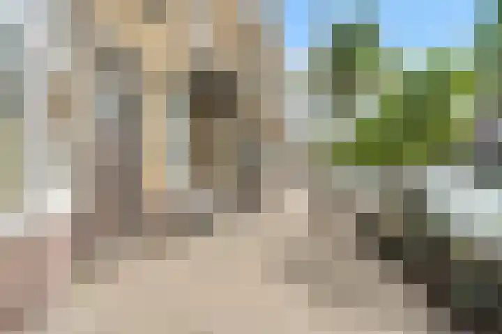 Melis Stokelaan 99 Den Haag thumbnail 8