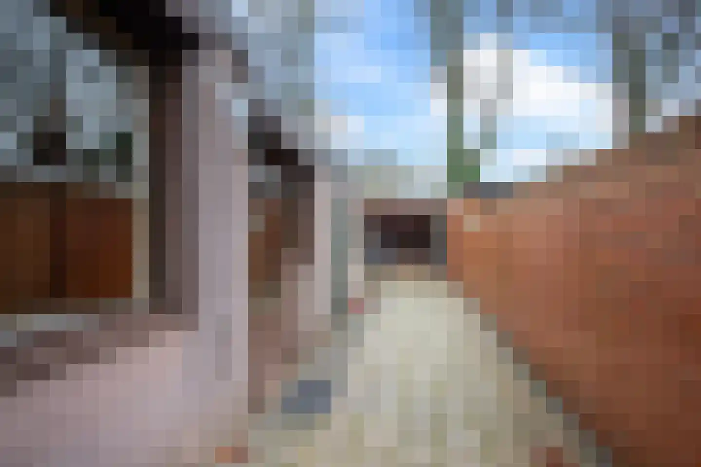 Melis Stokestraat 52 Tilburg thumbnail 22
