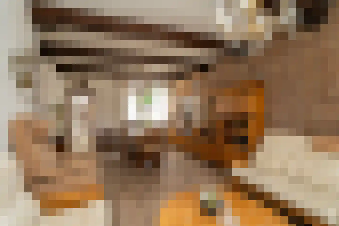 Melis Stokestraat 56 Tilburg thumbnail 13