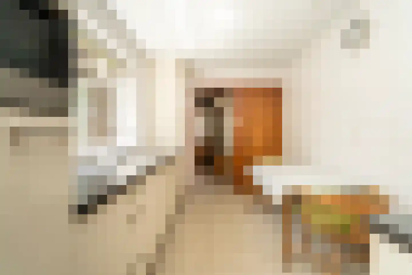 Melis Stokestraat 56 Tilburg thumbnail 17