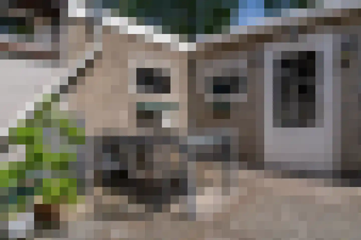Melis Stokestraat 56 Tilburg thumbnail 45
