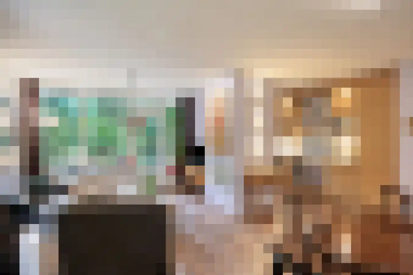 Melis Stokezijde 118 Den Haag thumbnail 12