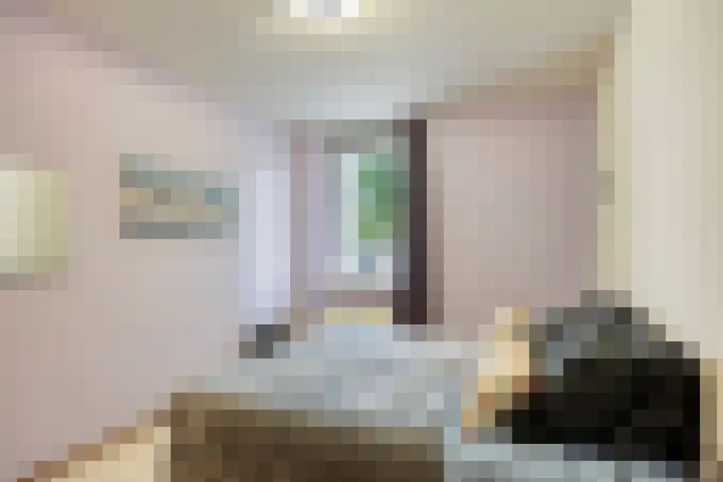 Melis Stokezijde 118 Den Haag thumbnail 16