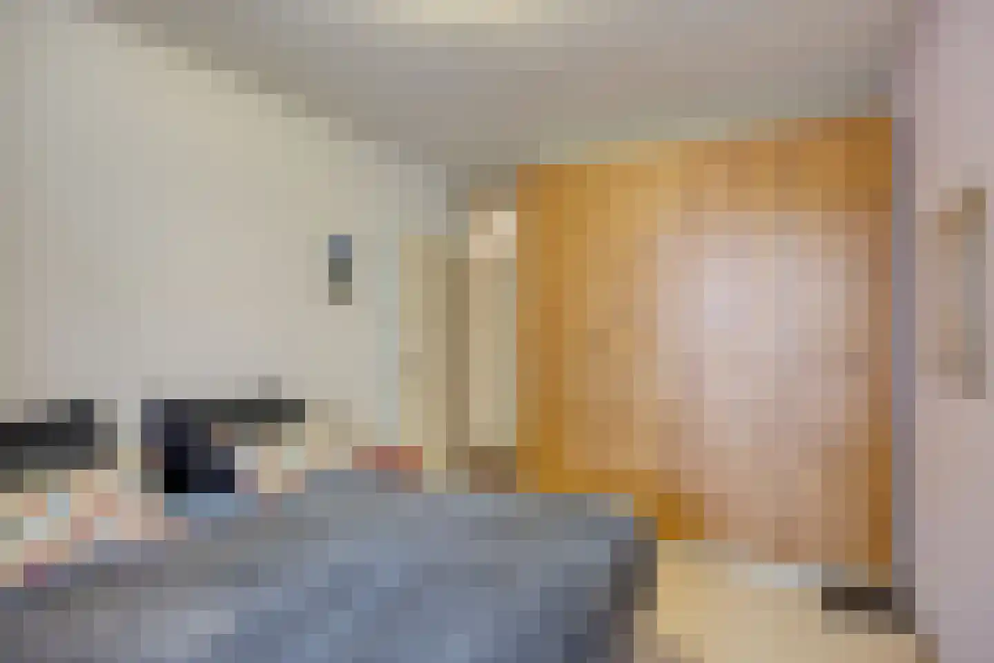 Melis Stokezijde 118 Den Haag thumbnail 17