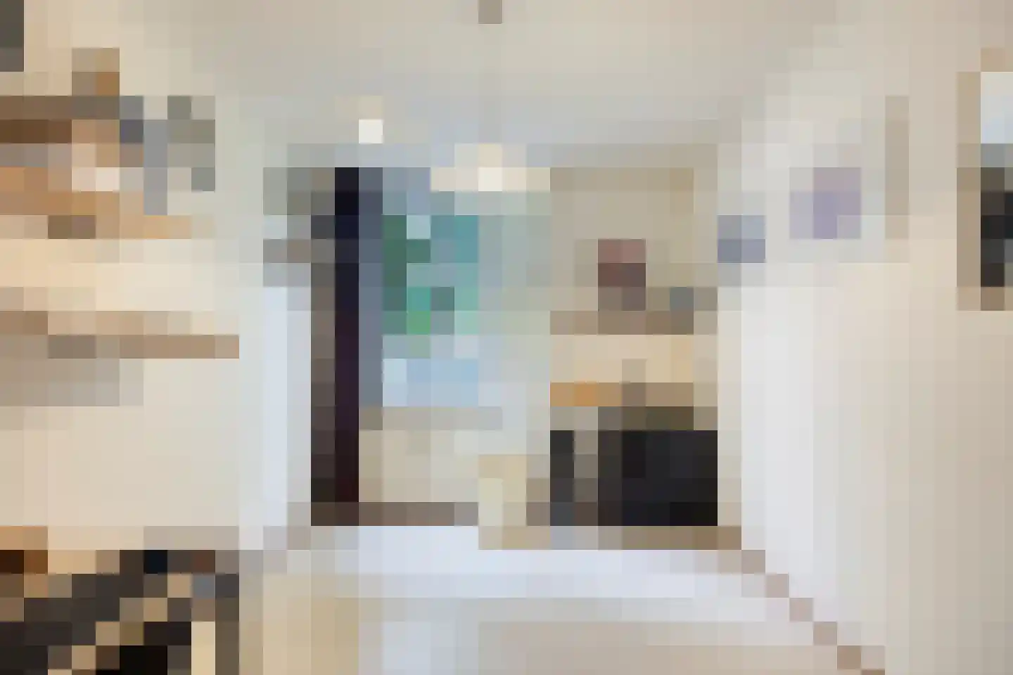 Melis Stokezijde 118 Den Haag thumbnail 20