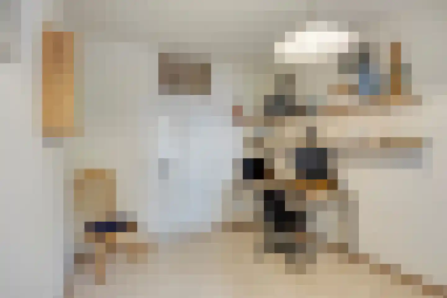 Melis Stokezijde 118 Den Haag thumbnail 21