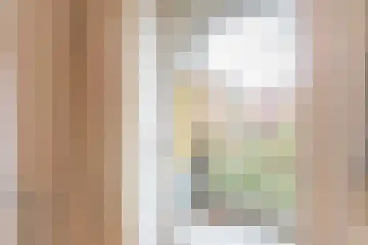 Melis Stokezijde 123 Den Haag thumbnail 10