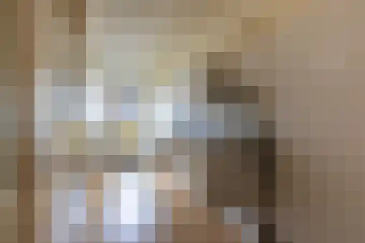 Melis Stokezijde 123 Den Haag thumbnail 12