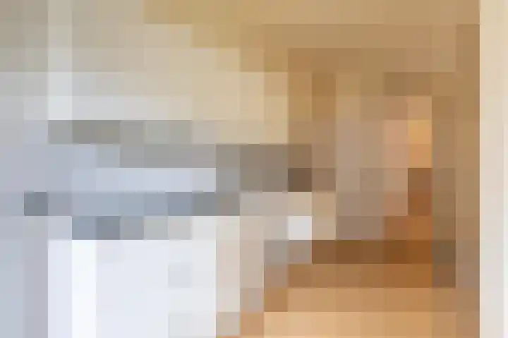 Melis Stokezijde 123 Den Haag thumbnail 13