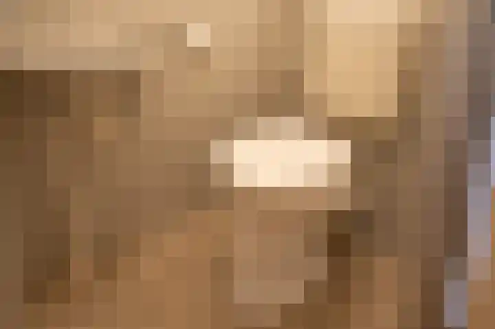 Melis Stokezijde 123 Den Haag thumbnail 14