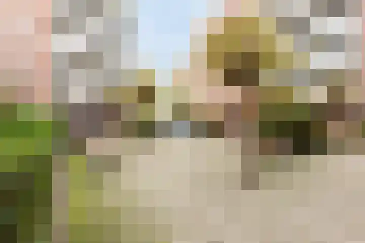 Melis Stokezijde 123 Den Haag thumbnail 18