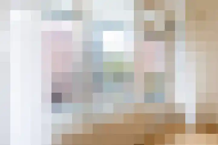 Melis Stokezijde 123 Den Haag thumbnail 5