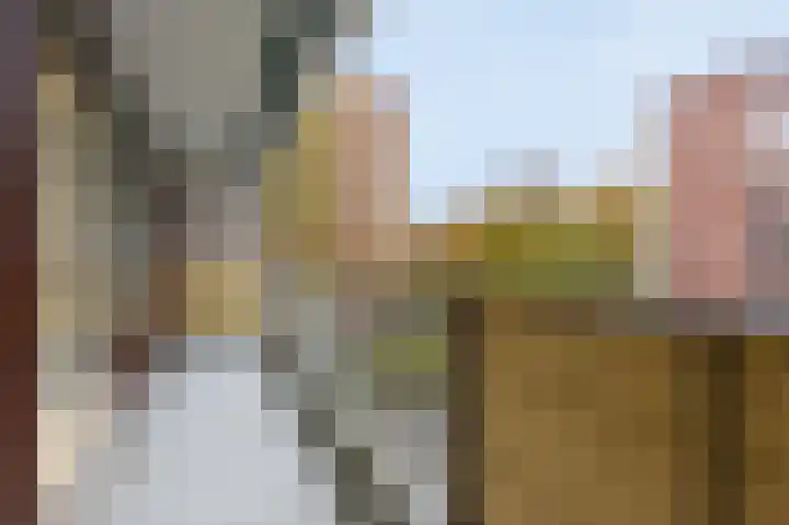 Melis Stokezijde 123 Den Haag thumbnail 6