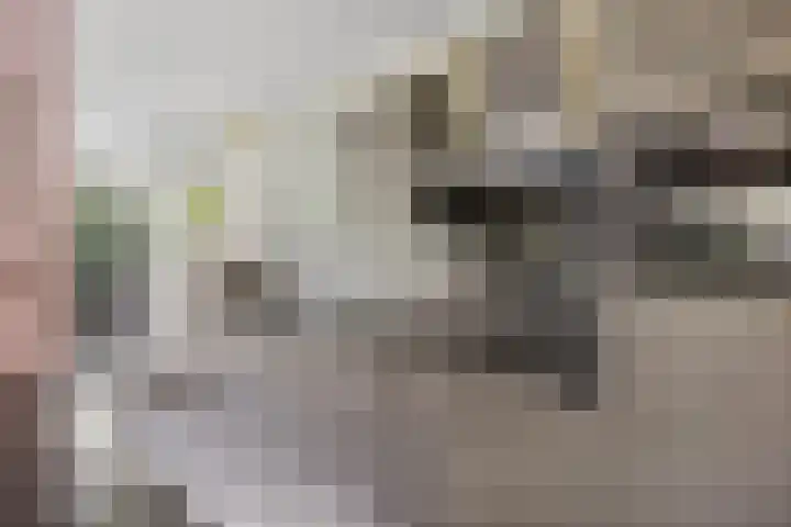 Melis Stokezijde 125 Den Haag thumbnail 11