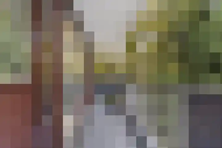 Melis Stokezijde 125 Den Haag thumbnail 12