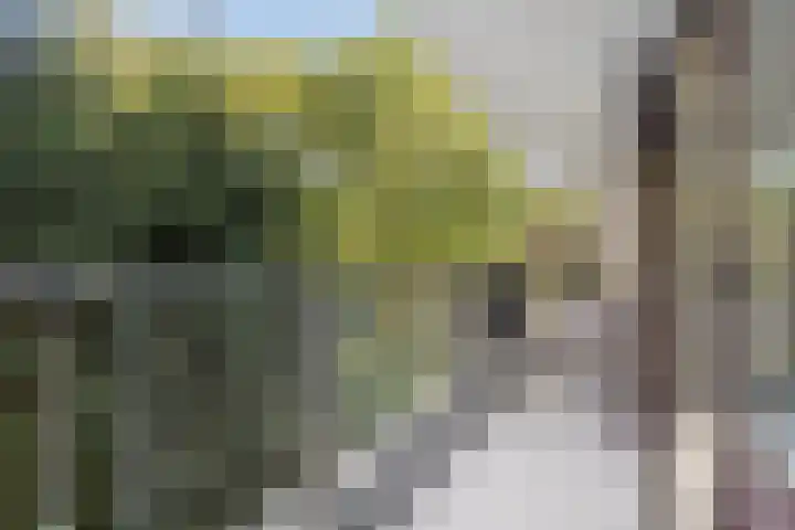Melis Stokezijde 125 Den Haag thumbnail 13